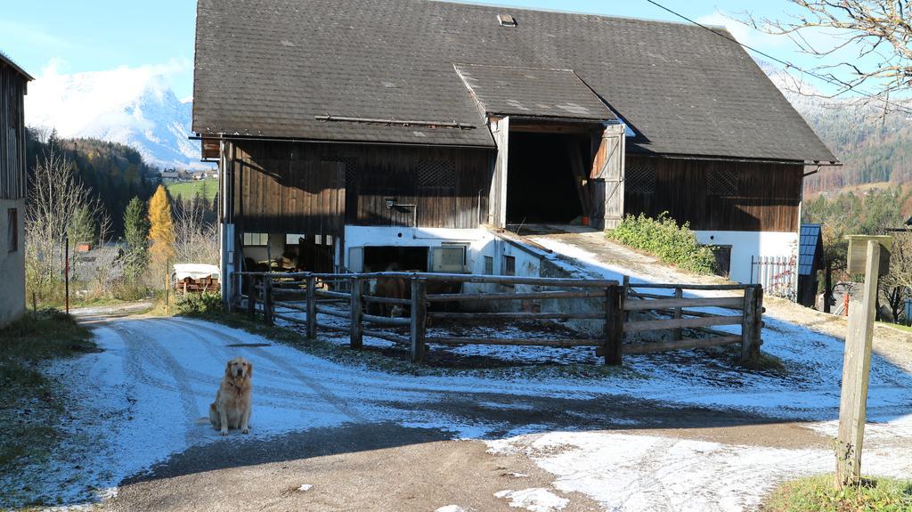 Haus Galler - Urlaub Am Bauernhof Bad Aussee Exteriér fotografie