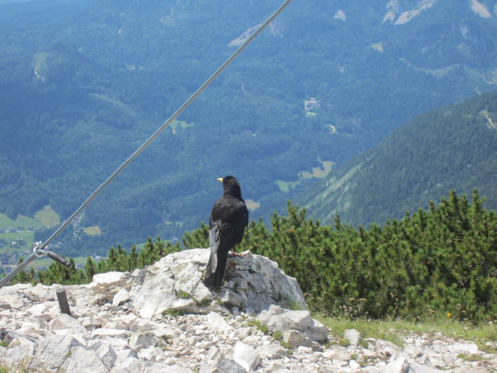 Haus Galler - Urlaub Am Bauernhof Bad Aussee Exteriér fotografie