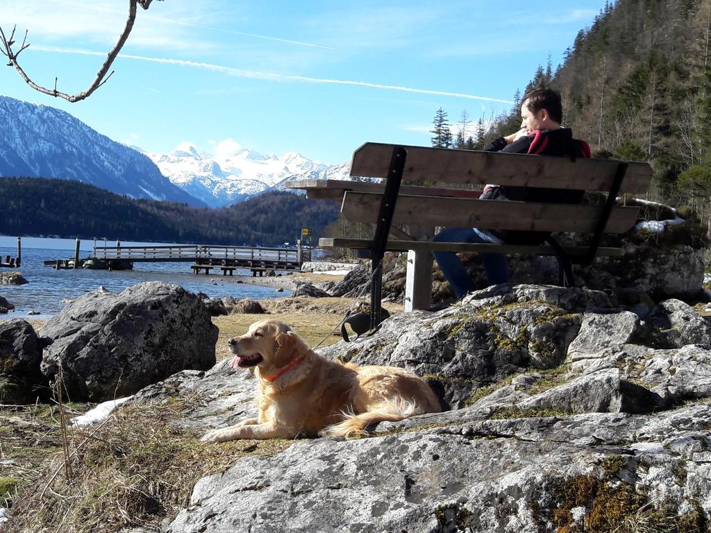 Haus Galler - Urlaub Am Bauernhof Bad Aussee Exteriér fotografie